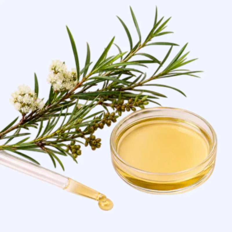 Aceite de Árbol de Té